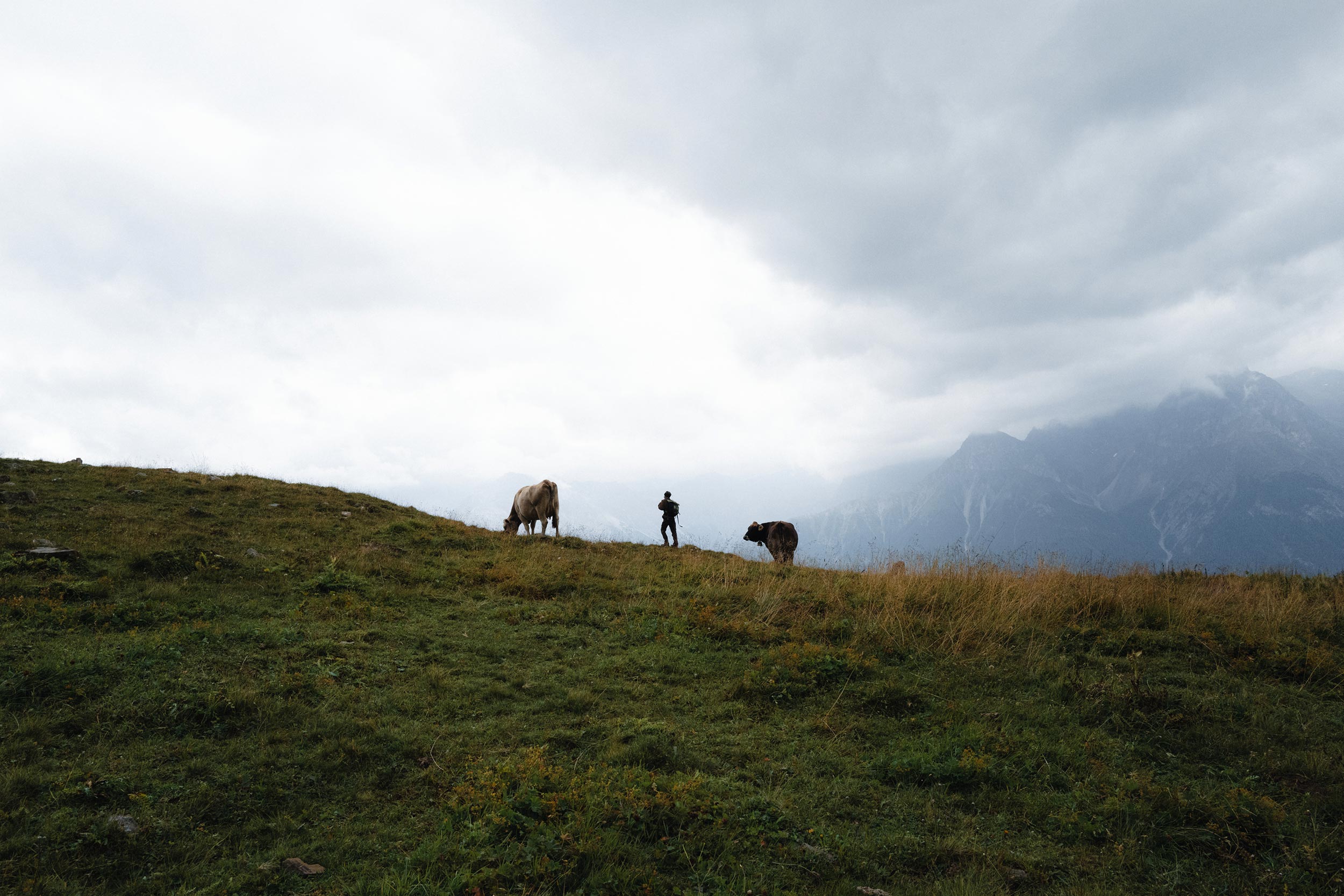 Alpine Solitude – A Life with the Herd