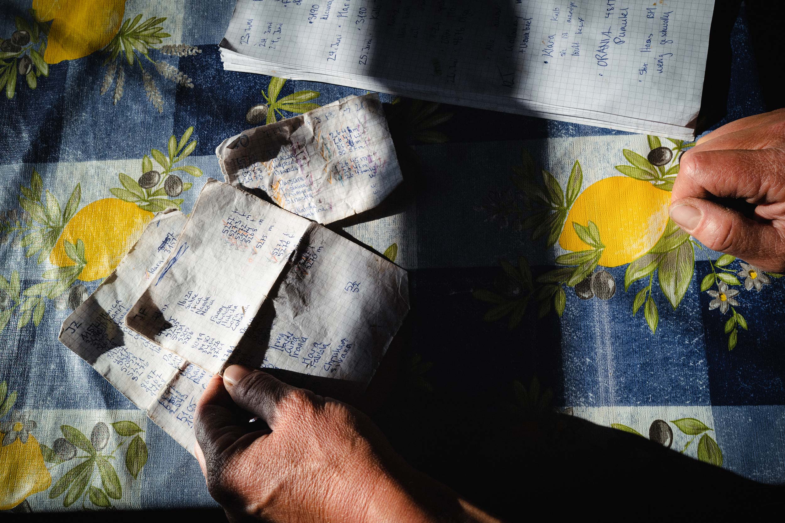 Alpine Solitude – A Life with the Herd