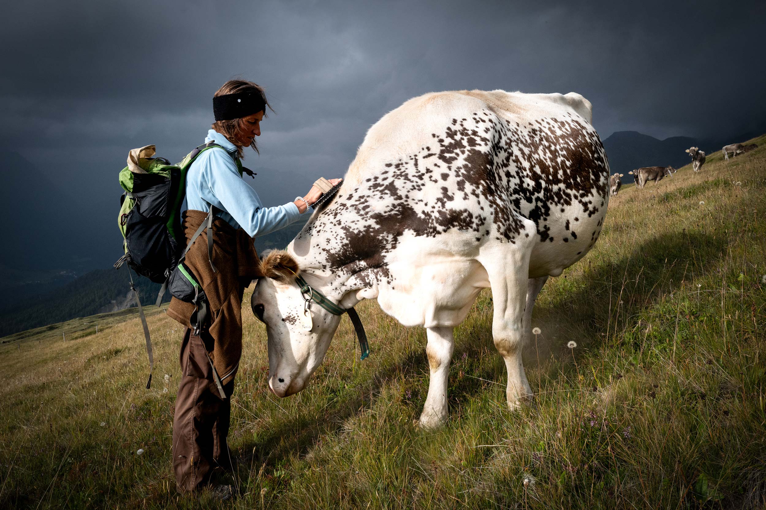 Alpine Solitude – A Life with the Herd