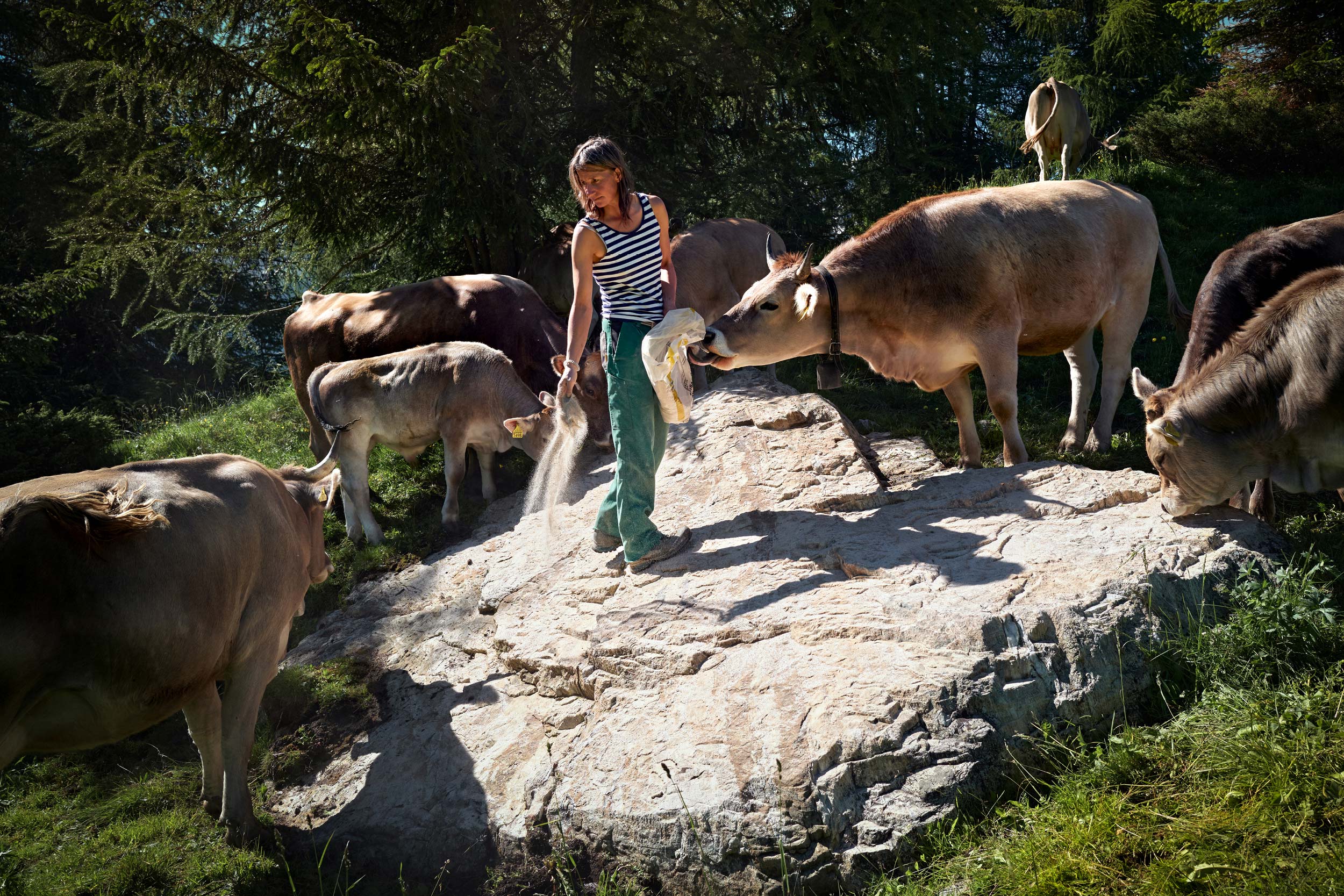 Alpine Solitude – A Life with the Herd