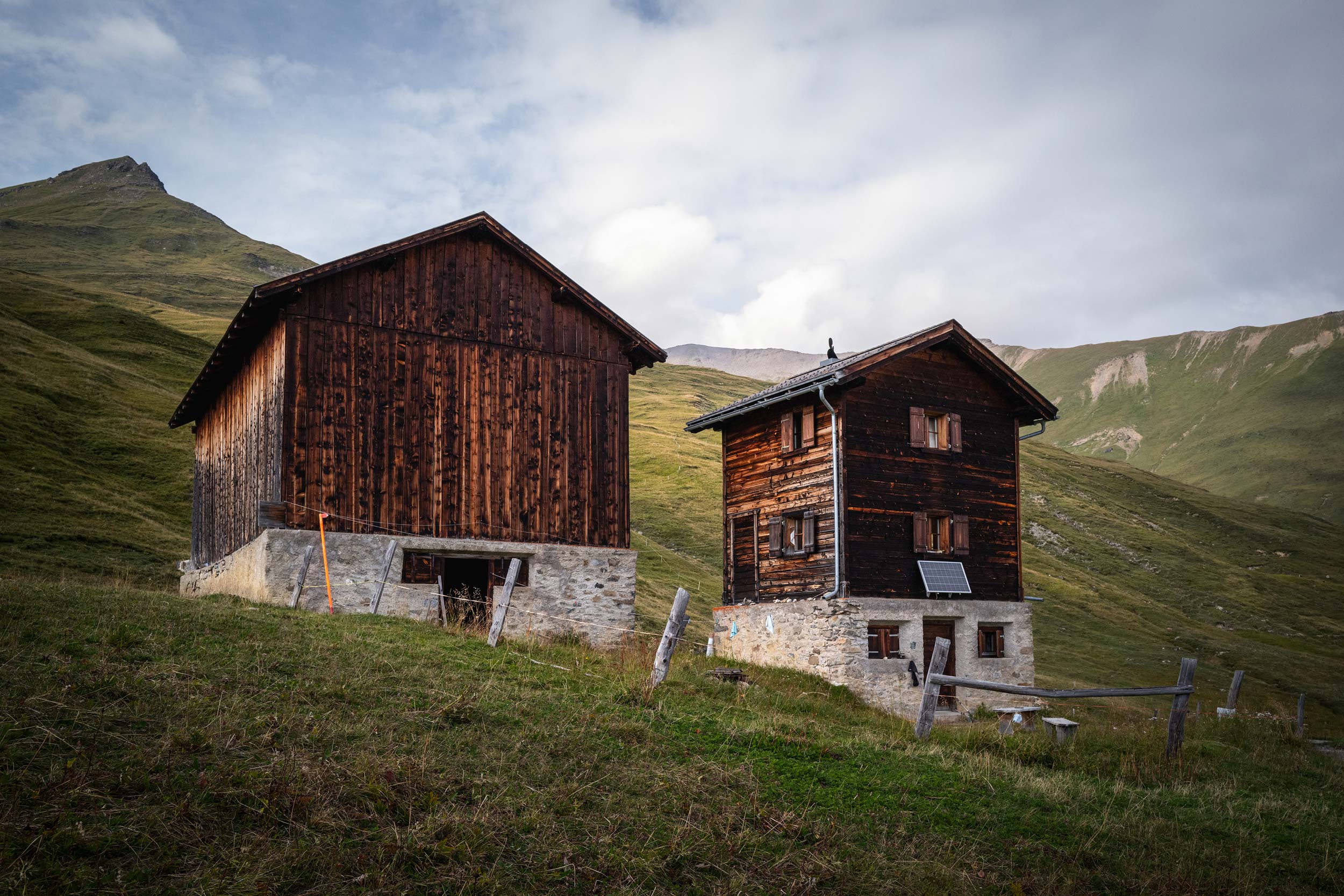Alpine Solitude – A Life with the Herd