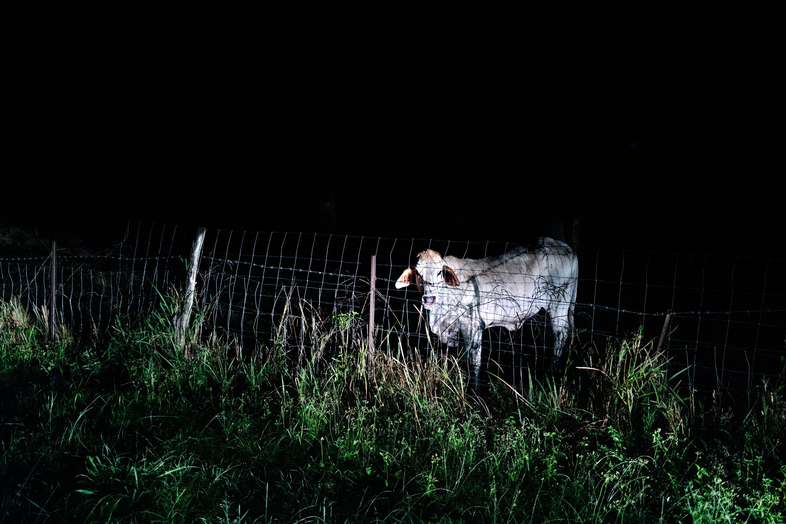 Kanaky – Land in the Shadow of Colonialism