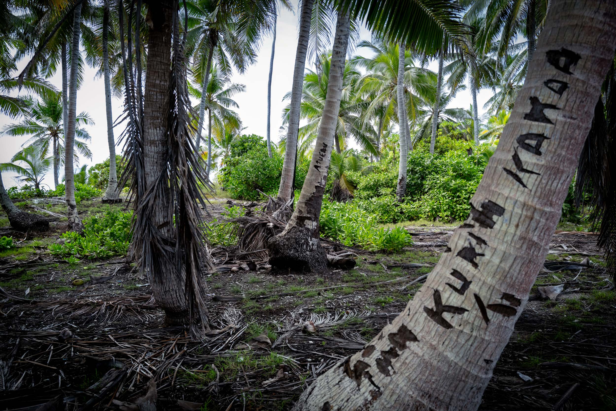 Rising Tide – Kiribati between Land and Sea